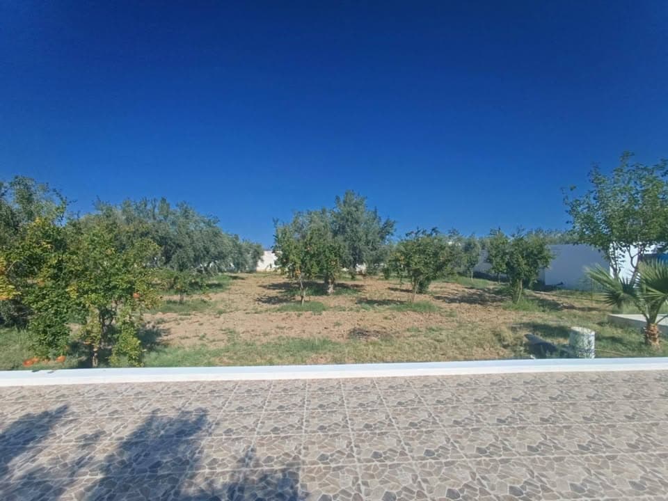 قطعة أرض مسيجة ومغلقة بمساحة 1500 م² فيها استوديو مجهز + مسبح خاص 2